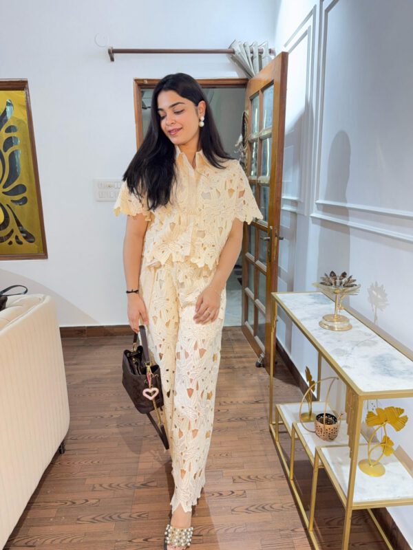 Aahana cutwork coord set - Image 8