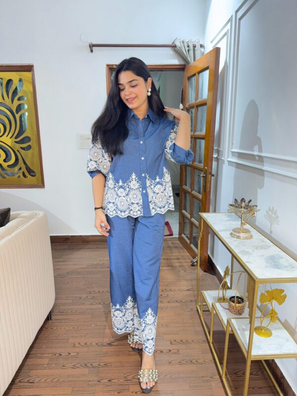 Riya denim embroidered coord