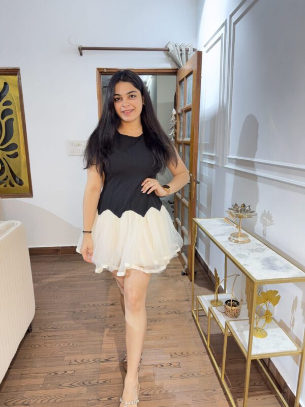 Friza net dress