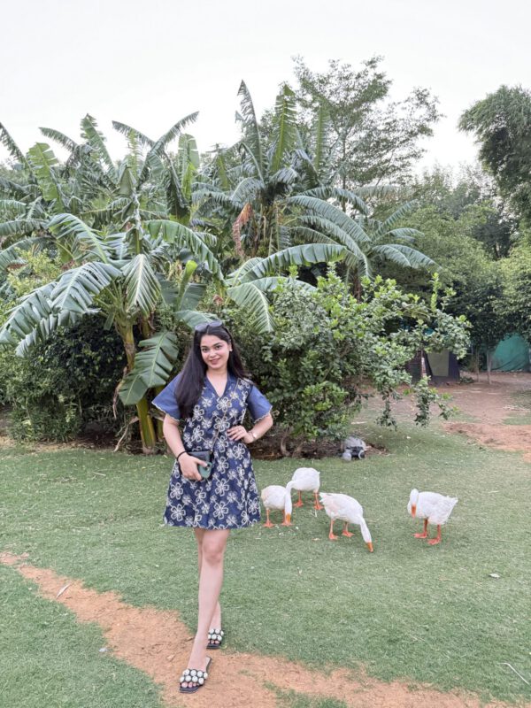 Ashi denim embroidered dress - Image 3