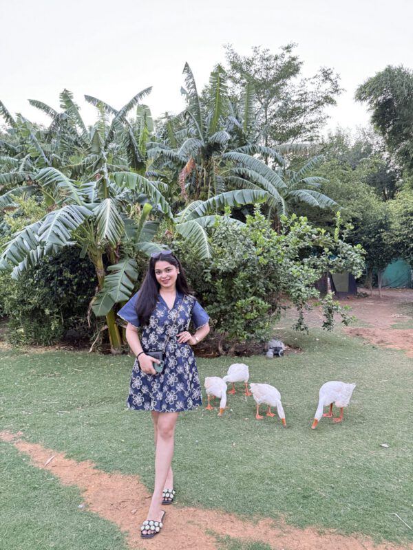 Ashi denim embroidered dress - Image 2