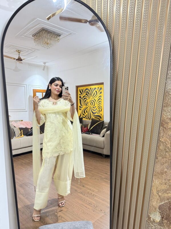 Seerat cutwork set - Image 4