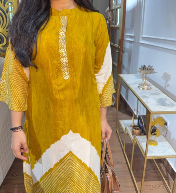 Vani embellished printed coord - Image 5