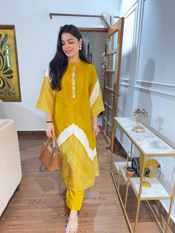Vani embellished printed coord - Image 4