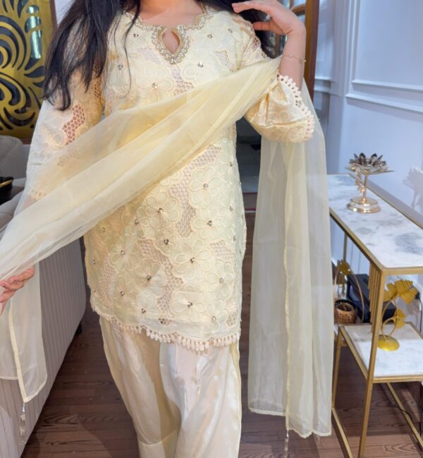 Seerat cutwork set - Image 2
