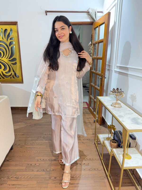 Vama embellished set