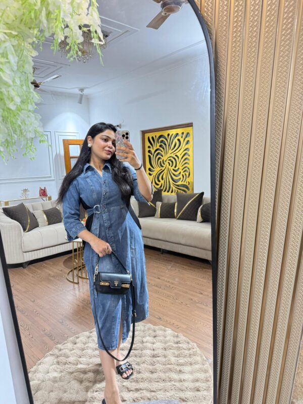Jia denim dress - Image 2