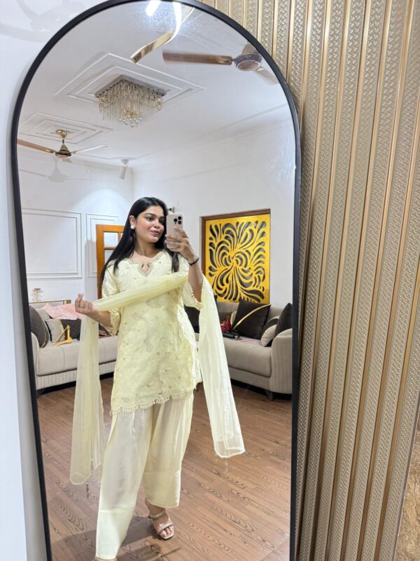 Seerat cutwork set - Image 3