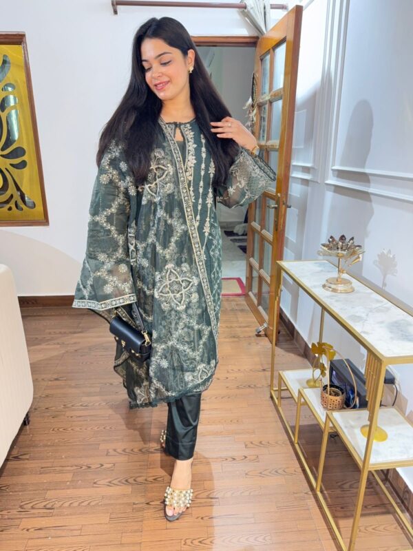 Disha embellished set - Image 3