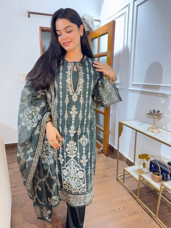Disha embellished set - Image 4