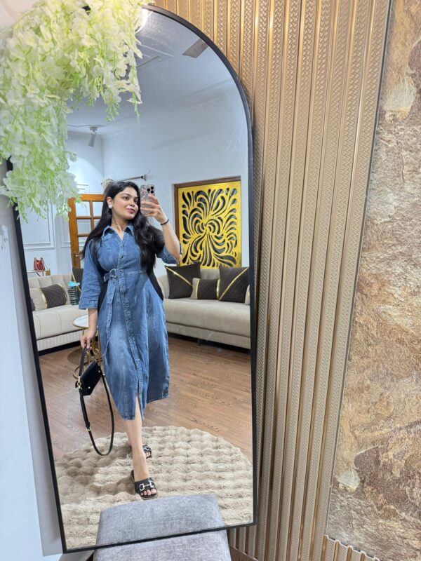 Jia denim dress
