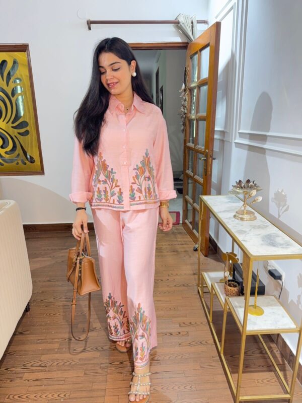Shanaya embroidered coord - Image 7