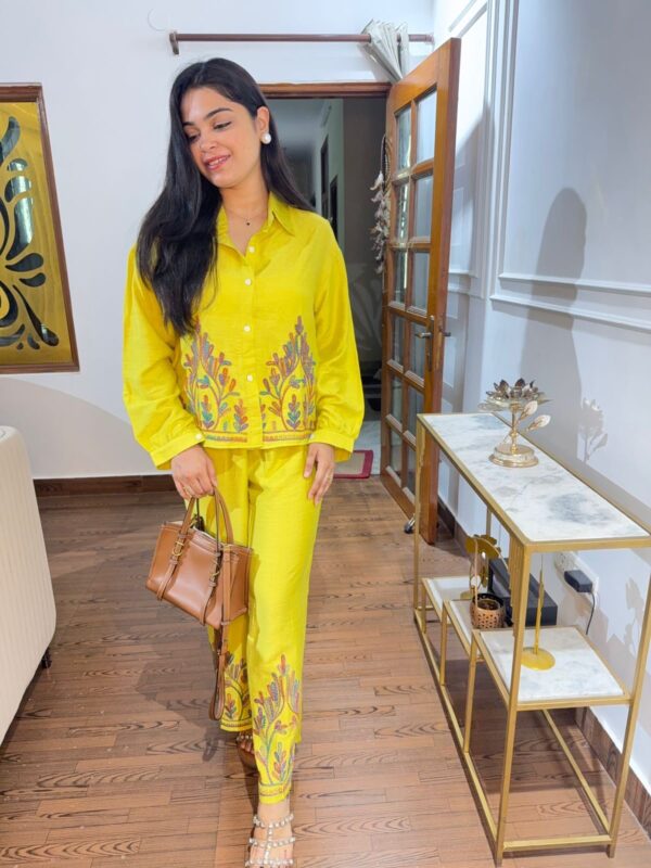 Shanaya embroidered coord - Image 4