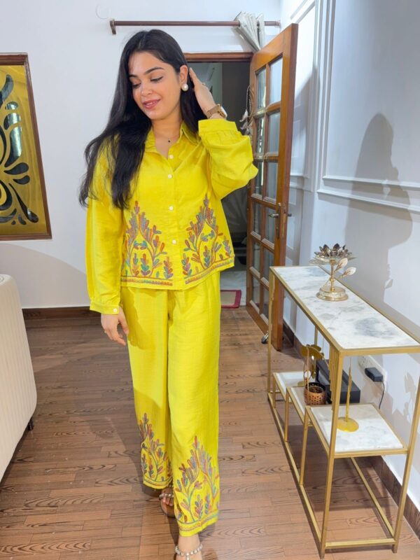 Shanaya embroidered coord - Image 5