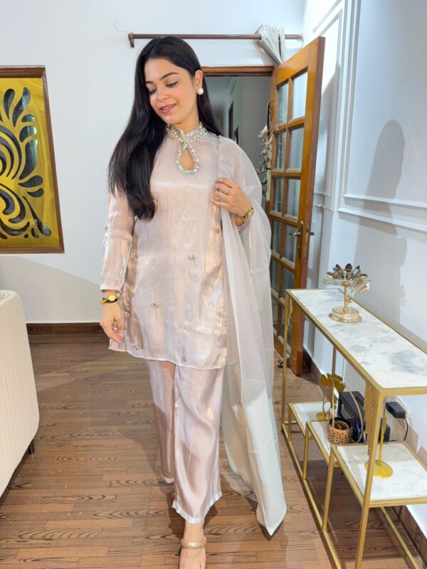 Vama embellished set - Image 4