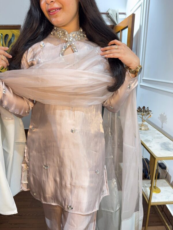 Vama embellished set - Image 6