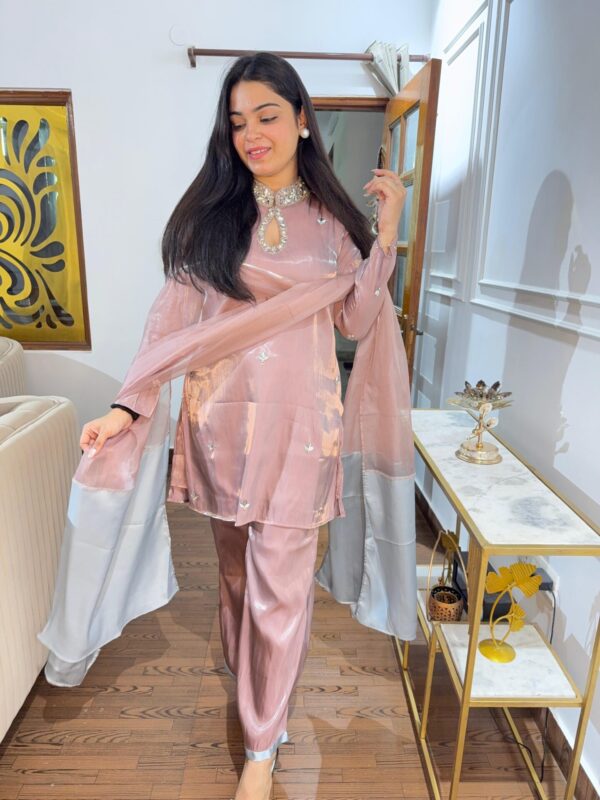 Vama embellished set - Image 4