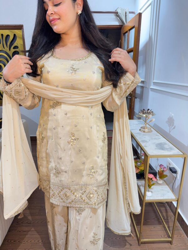 Heavy sharara suit - Image 2