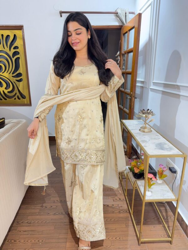 Heavy sharara suit - Image 3