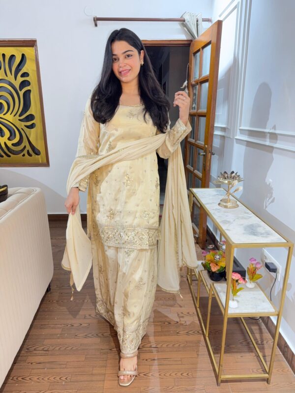 Heavy sharara suit - Image 4