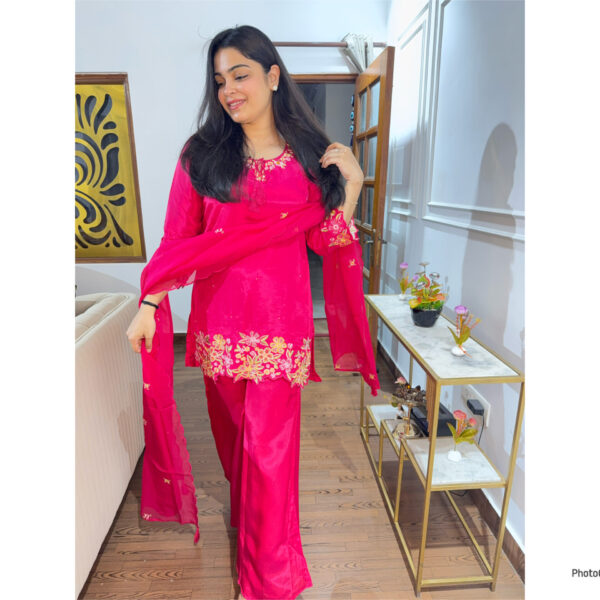 Mehar pink embellished suit