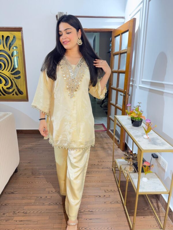 Payal mirror work set
