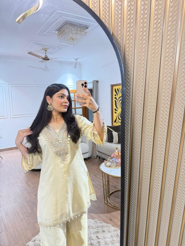 Payal mirror work set - Image 3