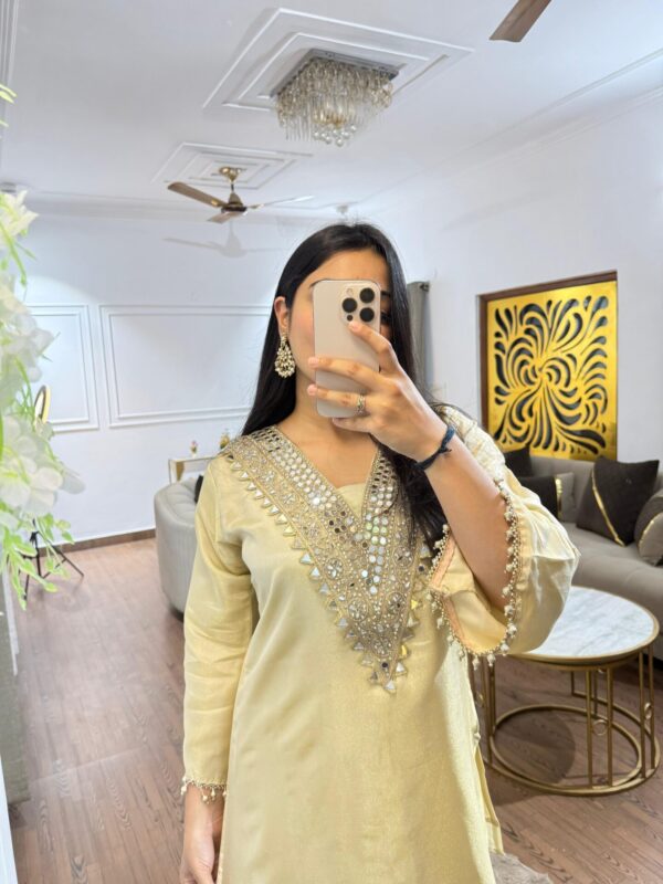 Payal mirror work set - Image 4