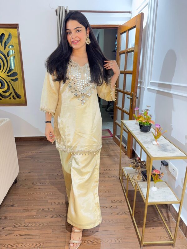 Trisha mirror work set - Image 3
